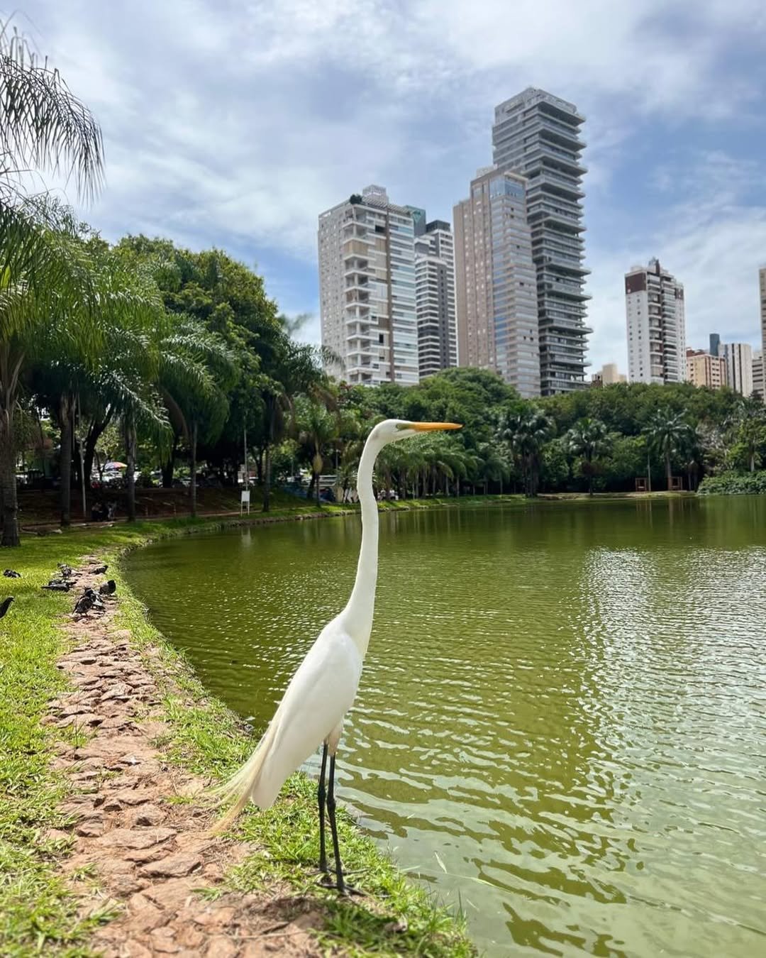 parque vaca brava